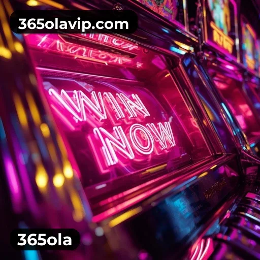 SSL Certificado 365ola
